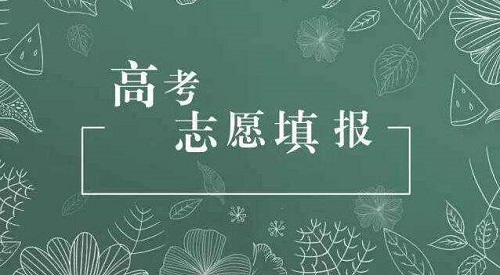 高考志愿填报指南：前期要做好哪些准备工作？