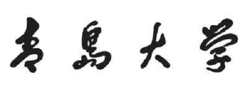 青岛大学2021年本科综合评价招生章程