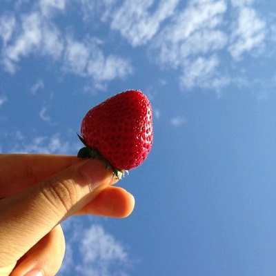 洛阳高考培训学校_洛阳高三全封闭全日制寄宿式学校